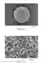 Fig. 02 - Release of biologically active agents from polymeric composite particles