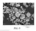 Fig. 04 - Release of biologically active agents from polymeric composite particles