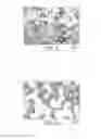 Fig. 06 - Microencapsulation