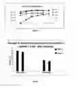 Fig. 02 - NON-SELECTIVE, PRE-EMERGENCE HERBICIDE