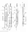 Fig. 07 - GARMENT CLOSURE APPARATUS, SYSTEM & METHOD