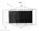 Fig. 03 - Multi-Length Lash Strip For Single-Use Eyelash Extensions