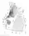 Fig. 03 - Article of footwear upper incorporating a textile component with tensile elements