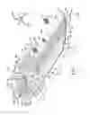Fig. 08 - Article of footwear upper incorporating a textile component with tensile elements