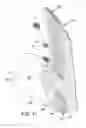 Fig. 11 - Article of footwear upper incorporating a textile component with tensile elements