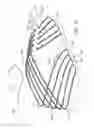 Fig. 14 - Article of footwear upper incorporating a textile component with tensile elements