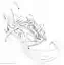 Fig. 01 - Footwear including a support cage