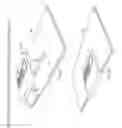 Fig. 24 - Cushioned Forearm Support Arrangement For A Work Area Or User Input Or Interface Device