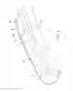 Fig. 05 - Armrest and armrest pad