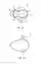 Fig. 06 - Capillary beverage cup