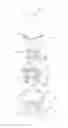 Fig. 01 - Net drum and juicer for juice extraction comprising same