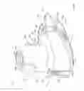 Fig. 21 - Portable surface cleaning apparatus