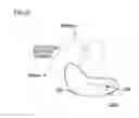 Fig. 09 - Endoscope apparatus