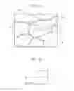 Fig. 11 - Endoscope system and method for operating the same