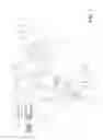 Fig. 02 - Ophthalmologic imaging apparatus and ophthalmologic image display apparatus