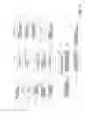 Fig. 11 - Ophthalmologic imaging apparatus and ophthalmologic image display apparatus