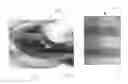 Fig. 05 - METHOD AND A MOBILE APP FOR USE WITH A MOBILE DEVICE TO ACCURATELY QUANTIFY BLOOD HEMOGLOBIN IN MAMMALS