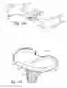 Fig. 21 - Prosthetic knee joint measurement system including energy harvesting and method therefor