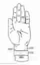 Fig. 01 - Wearable sensing band