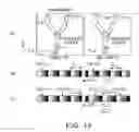 Fig. 13 - Medical image processing apparatus, X-ray diagnostic apparatus, medical image processing method, and X-ray diagnostic method
