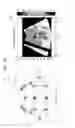Fig. 19 - Method and medical imaging apparatus for generating elastic image by using curved array probe