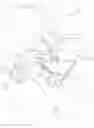 Fig. 03 - Biopsy device with automatic biopsy parameter adjustment