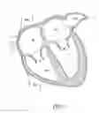 Fig. 02 - LEFT ATRIAL APPENDAGE OCCLUSION DEVICES AND METHODS