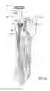Fig. 13 - METHOD AND APPARATUS FOR PERFORMING A LESS INVASIVE SHOULDER PROCEDURE
