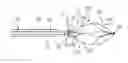 Fig. 01 - INVERTABLE MEDICAL RETRIEVAL DEVICES AND METHODS