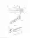 Fig. 07 - Combinational scissor-grasper tool for use in laparoscopy