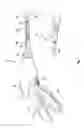 Fig. 02 - Surgical instruments