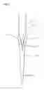 Fig. 09 - Surgical tools and system for safely accessing body cavities and methods of using the same