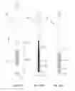 Fig. 12 - Orthopedic implant kit