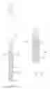 Fig. 13 - Orthopedic implant kit