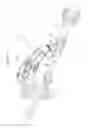 Fig. 41 - Intramedullary fracture fixation devices and methods
