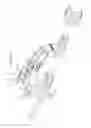Fig. 43 - Intramedullary fracture fixation devices and methods