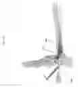 Fig. 73 - Intramedullary fracture fixation devices and methods
