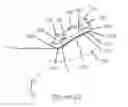 Fig. 18 - Method and apparatus for a compressing plate