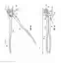 Fig. 04 - Articulating rod bender and cutter