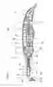 Fig. 04 - DEVICE FOR GENERATING AN IMPULSIVE FORCE AND NAIL GUN THEREOF