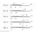 Fig. 16 - Expandable interbody fusion device