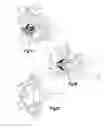 Fig. 02 - Intervertebral implants, systems, and methods of use