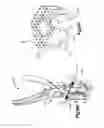 Fig. 26 - Intervertebral implants, systems, and methods of use
