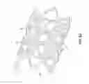 Fig. 20 - BIOABSORBABLE POLYMERIC MEDICAL DEVICE