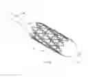 Fig. 28 - BIOABSORBABLE POLYMERIC MEDICAL DEVICE