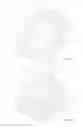 Fig. 42 - BIOABSORBABLE POLYMERIC MEDICAL DEVICE
