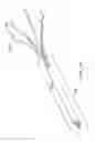 Fig. 19 - Intestinal sleeve