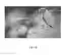 Fig. 12 - Method for Alignment of Intraocular Lens