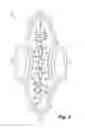Fig. 03 - Absorbent article demonstrating controlled deformation and longitudinal fluid distribution