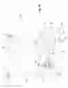Fig. 02 - Patient transfer device